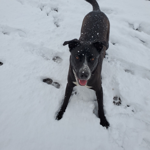 Like this to bookmark! ♥️ - Picture 4 of 7